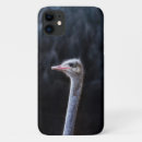 Recherche de autruches iphone coques Animal