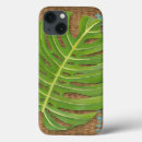 Recherche de paume coques Feuille