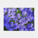 Search for daisy doormats Photography