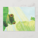 Search for behind postcards Wildlife
