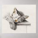 Recherche de vintage cat posters Kitten