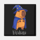 Search for capybara magnets Cool