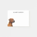 Search for rhodesian ridgeback White