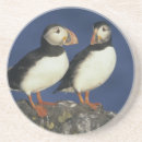 Recherche de atlantique dessous de verres Oiseau