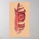 Recherche de nouvel âge posters Plumes
