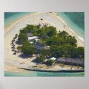 Search for accommodating posters Coral