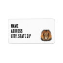 Search for lion king return address labels Safari