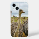 Search for ostrich iphone cases Bird