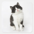 Search for looking at camera stickers Vertical