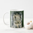 Recherche de squirrel tasses Faune