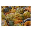 Recherche de courge posters Squash