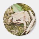 Recherche de mignons grenouille magnets Amphibiens
