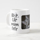 Recherche de maman de chat tasses Pour elle
