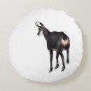 Recherche de alpin coussins Neige