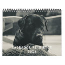 Search for labrador retriever calendars Cute
