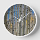 Recherche de peuplier horloges Bois