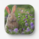 Search for bunny birthday plates Children