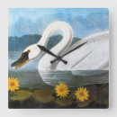 Search for john wilde art Birds of america