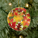 Search for autumn ornaments Elegant