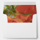 Search for orange chevron Pretty
