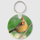 Search for cardinal keychains Nature