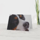 Recherche de yeux tristes cartes postales Amour