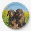 Search for dachshund paper plates Animal
