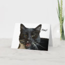 Search for yawn postcards White