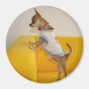 Search for charlie magnets Funny