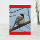 Search for chickadees cards Black capped chickadee