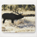 Search for madison mousepads Nature