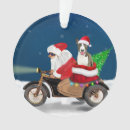 Search for bull terrier ornaments Animal