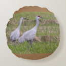 Search for crane pillows Birds