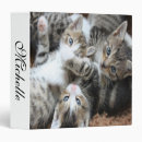 Search for colour lovers avery binders Cat