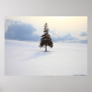 Search for christmas art Photography