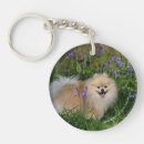 Search for pomeranian keychains Flowers