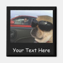 Recherche de voiture de chien magnets Dog