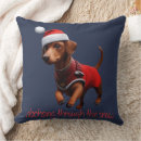 Search for sausage dog pillows Cute