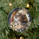 Search for glitter ornaments Snowflakes