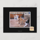 Search for attack postcards I can has cheezburger