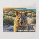 Recherche de quokka cartes postales Australie