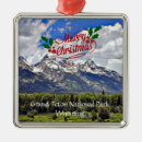 Search for grand ornaments United states