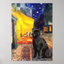 Search for newfies posters Dogs
