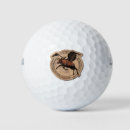 Search for moose golf balls Wildlife