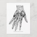Recherche de muscle cartes postales Illustration
