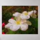 Recherche de paires art Blanc