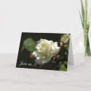 Search for rose bush invitations Floral