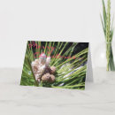 Recherche de saisonnier vœux cartes Sapin
