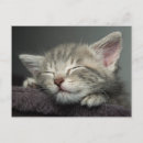 Recherche de endormi cartes postales Sommeil