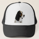 Search for springer spaniels hats Pet